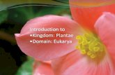 Introduction to Kingdom: Plantae Domain: Eukarya › cms › lib6 › AZ01001175...Plant Overview Plants have three basic structures: roots, stems, and leaves. One important difference