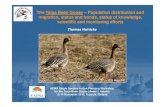 The Taiga Bean Goose – Population distribution and ... · The Taiga Bean Goose – Population distribution and migration status and trends status of knowledgemigration, status and