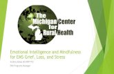 Emotional Intelligence and Mindfulness for EMS Grief, Loss ... and Mindfulness for EMS.pdf · Harnessing Emotional Intelligence for Leadership Success: EMSWorld, V. Amato 5 Components