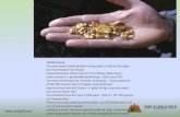 Urals advantages compared to Siberian Regions · Key issues and main advantages Gold grades in average 4-5 g/th; Confirmed by the presence of rich ore blocks with a content of 3-4
