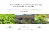 Haas (Hare) Grass - Department of Parks and Wildlife€¦ · NRM – Natural Resource Management IBRA – Interim Biogeographic Regionalisation of Australia ... This objective will
