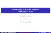 Cohomology of Banach Algebras Fields Mini-Course › ... › operatorspaces › White.pdf · Cohomology of Banach Algebras Fields Mini-Course Michael C. White Newcastle University