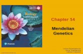 Chapter 14 Mendelian Genetics - JU Medicine › ... › 09 › Chapter-14-Mendelian-G… · Concept 14.2: Probability laws govern Mendelian inheritance Mendel’s laws of segregation