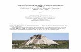 2001 Stereo-photogrammetric documentation of the Adivino ... › 2015 › 08 › ... · Yucatan (CUPPCY) at UADY directed by anthropologist James M. Callaghan. As a first step in