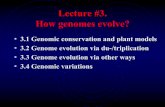 Lecture #3. How genomes evolve? - Zhejiang Universityibi.zju.edu.cn › bioinplant › temp › PLANTGENOMICS › PG-Lect3... · 2019-01-08 · 3.1 Genomic conservation and plant