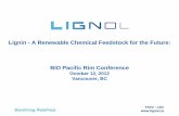 Lignin - A Renewable Chemical Feedstock for the Future ... · many applications; highly heterogeneous • Petro-chemicals do it better –Putting lignin into chemical systems and
