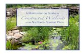 A Maintenance Guide for Constructed Wetlands · Semipermanently flooded freshwater wetlands dominated by emergent vegetation and floating macrophytes, with scattered cypress, buttonbush,