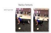 With Foam Roll - United States Army · With Foam Roll With Lacrosse Ball . Hamstrings With Stick With Foam Roll. Hamstring Flossing With Lacrosse Ball . Tensor Fascia Latae, Glut