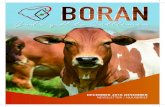 God’s gift to Cattlemen - Boran cattle · marketing communication, including direct advertising, sales promotion, events, brand promotion, electronic marketing, and so on. It is
