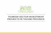 TOURISM SECTOR INVESTMENT PROJECTS IN TAVUSH PROVINCE · Location ACHARKUT $2-$2,5 mln Expected private investment by 2023 $900 000 Expected government investment by 2023 $3 000 000