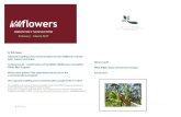 WildFlowers Australia newsletter · Wildflowers and Native Plants R&D Program Around 1989, the Australian Special Rural Research Council was determining priorities for the funding