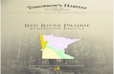Red River Prairie - files.dnr.state.mn.usfiles.dnr.state.mn.us/.../red_river_prairie.pdf · what was once tallgrass prairie forms the eastern boundary. Wet prairies were an important