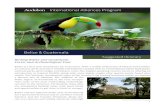 Internaa Alliaces ogra - National Audubon Society€¦ · Internaa Alliaces ogra Beliz aaa ggs Itinerary ravel Itinerary 1 Suggested Itinerary Birding Belize and Guatemala: Forest