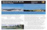 Florissant Fossil Beds U.S. Department of the Interior Colorado · 2018-03-22 · transition and shows how plant communities and climate changed during this time. Late Eocene Florissant