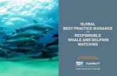 FOR RESPONSIBLE WHALE AND DOLPHIN …...ABOUT THIS GUIDE The last 50 years have seen an unprecedented interest in whales, dolphins and porpoises (cetaceans), leading to tourism activities