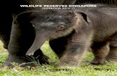 WILDLIFE RESERVES SINGAPORE · WILDLIFE RESERVES SINGAPORE YEAKBOOK 2016/17 PAGE 3 WILDLIFE RESERVES SINGAPORE Wildlife Reserves Singapore (WRS) is the operating arm of Mandai Park