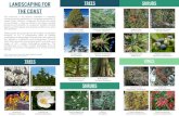 LANDSCAPING FOR TREES SHRUBS THE COAST · LANDSCAPING FOR THE COAST This brochure is for anyone interested in adopting nature-enhancing gardening or landscaping practices in coastal