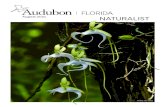 August 2019 NATURALIST - Audubon Florida · 4 Audubon Florida | August 2019 Florida Forever is the state’s premier land conservation program, acquiring parks and preserves to provide