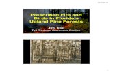 Prescribed Fire and Birds in Florida’s Upland Pine Forests › 2014 › 12 › cox_rx-fire-a… · Prescribed Fire and Birds in Florida’s Upland Pine Forests Jim Cox Tall Timbers