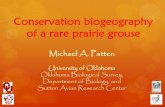 Conservation biogeography of a rare prairie grouse · Conservation biogeography of a rare prairie grouse Michael A. Patten University of Oklahoma ... o radio-transmitters on our Lesser
