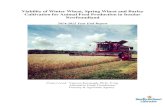 Viability of Winter Wheat, Spring Wheat and Barley Cultivation for … · 2016-03-22 · delayed fungicide and herbicide applications. Harvest was 0.97 T per acre when adjusted to