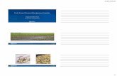 Field Crops Disease Management Update · • 70-75% reduction in FHB and DON levels when using a moderately resistant wheat variety in combination with a triazole fungicide (Proline,