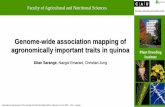 Genome-wide association mapping of agronomically important ... › wp-content › uploads › 2020 › ... · Genome-wide association mapping of agronomically important traits in