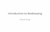 Introduction to Beekeeping - Love Apple Farms...•What you get: – 3lb of bees and a queen – Bees are bred to be predictable and easy to work with –When: • Once a year only