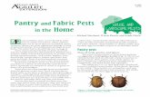 Pantry and Fabric Pests in the Home - Texas A&M …agrilife.org › citybugstest › files › 2016 › 07 › E486.pdfwith natural animal fiber materials. Clothes moths occur naturally
