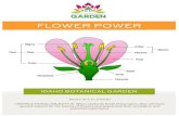 FLOWER POWER - Idaho Botanical Garden FLOWER POWER. IDAHO BOTANICAL GARDEN. INTRODUCTION. TERMS. Dear