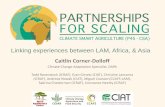 Linking experiences between LAM, Africa, & Asia...Linking experiences between LAM, Africa, & Asia Caitlin Corner-Dolloff Climate Change Adaptation Specialist, DAPA Todd Rosenstock