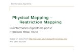 Physical Mapping – Restriction Mapping › ~mraz › bioinf › BioAlg11-2c.pdf · Restriction Maps • A map showing positions of restriction sites in a DNA sequence • If DNA