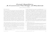 Fossil Aquifers: A Common Heritage of Mankind...High Plains Groundwater Study] . This paper will use the term Ogallala aquifer to refer to the entire High Plains aquifer system . 18