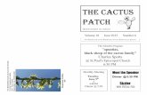 The Cactus Patch - Bakersfield Cactus€¦ · Opuntia littoralis Once again we fall back on Lyman Benson for the plant of the month. Opening randomly to page 136 we find O. littoralis