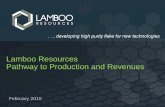 Lamboo Resources Pathway to Production and Revenues€¦ · Pathway to Production and Revenues February 2015 . ... • ASX Announcement titled ‘Strategic Presentation to AGM’