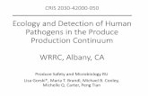 Ecology and Detection of Human Pathogens in the Produce Production Continuum · 2019-12-30 · CRIS 2030-42000-050 Ecology and Detection of Human Pathogens in the Produce Production