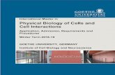 Physical Biology of Cells and Cell Interactions (PBioC)€¦ · The two-year Master's programme Physical Biology of Cells and Cell Interactions is a consecutive full-time study programme