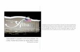 Dougherty County-City of Albany, GA Long-Term … › filestorage › 1800 › 143202 › Dougherty...2017/10/30  · DOUGHERTY COUNTY-CITY OF ALBANY, GA LONG-TERM RECOVERY & RESILIENCY