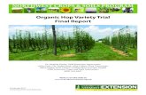 Organic Hop Variety Trial Final Report · 2016, Cumulative GDD 2016, cumulative normal GDD The trends of cumulative normal GDD and Cumulative GDD for Same Year Day. Color shows details