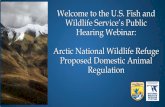 Welcome to the U.S. Fish and Wildlife Service’s Public ... › uploadedFiles › Region_7 › NWRS... · Arctic NWR 2015 Revised CCP • Chapter 2. 2.4.12.9 Disease Prevention and