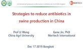 Strategies to reduce antibiotics in swine production in China · (fish meal, plasma protein, whey, highly digestible plant proteins & fats, synthetic amino acids) 3. Functional feed