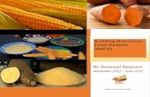 Building Nutritious Food Baskets (BNFB) · 2020-01-22 · BNFB: Bi-Annual Report (Nov. 2015–June 2016) ii . ACRONYMS AND ABBREVIATIONS . AU-NEPAD African Union – New Partnership