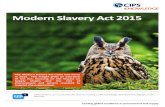 Modern Slavery Act 2015 - CIPS · Knowledge Insight . Modern Slavery Act . 2015 The Modern Slavery Act came into Force in 2015. This insight gives an overview ... part of a much wider
