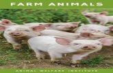 FARM ANIMALS - Animal Welfare Institute · Hour Law, intended to protect farm animals during transport, and the Humane Methods of Slaughter Act, drafted to regulate the slaughter