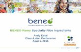 BENEO-Remy Specialty Rice Ingredients...Remy B7 rice starch . is a . natural, clean label, non- GMO alternative, with good smoothening and whitening properties. • Remy B7. allows