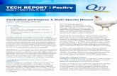 TECH REPORT | Poultryqtitechnology.com/wp-content/uploads/2019/06/QTI_TR_v6i4...C. perfringens diseases has become more difficult. Dr. Cline echoes this concern. He states that necrotic