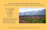 Determining the Vulnerability and Resilience of Boreal ......Determining the Vulnerability and Resilience of Boreal Forests & Shrubs across Northwestern North America R. D’Arrigo1