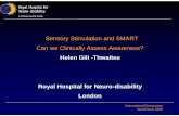 Sensory Stimulation and SMART Can we Clinically Assess Awareness? · 2018-09-20 · • Educates families, team and carers in sensory regulation Sensory Stimulation • Extensive