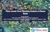 Photo-mosaic Coral Bleaching Analysis at Cheeca Rocks · 2017-07-27 · Identify resilient/resistant or susceptible corals with MINIMAL field time * We can use new technologies to
