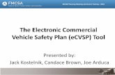 The Electronic Commercial Vehicle Safety Plan (eCVSP) Tool eCVSP Training...• Data is auto-populated into the spending plan . For Basic & Incentive: • User enters Maintenance of